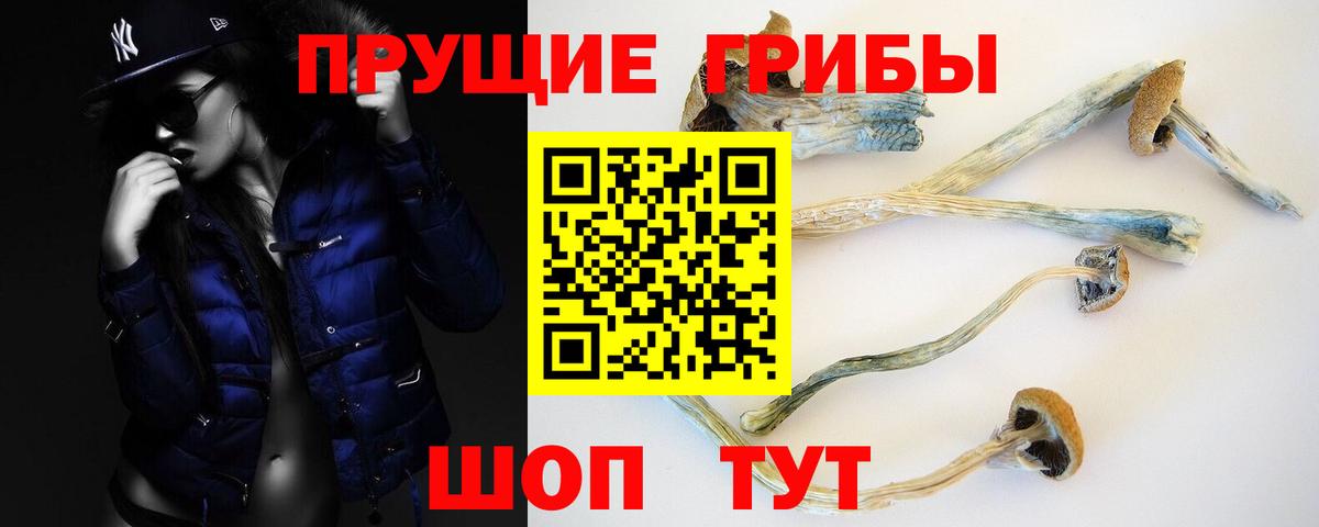 Оренбург  Псилоцибиновые грибы мицелий  Вход с VPN  Псилоцибиновые грибы прущие грибы 